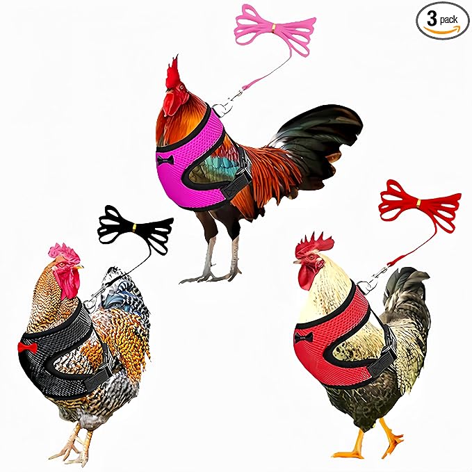 3 Pack Chicken Harness and Leash Set Adjustable Hen Vest with Matching Belt Breathable Mesh Training Harness Pets Leash for Hens Duck Goose Small Pet-Black&Red&Pink,S