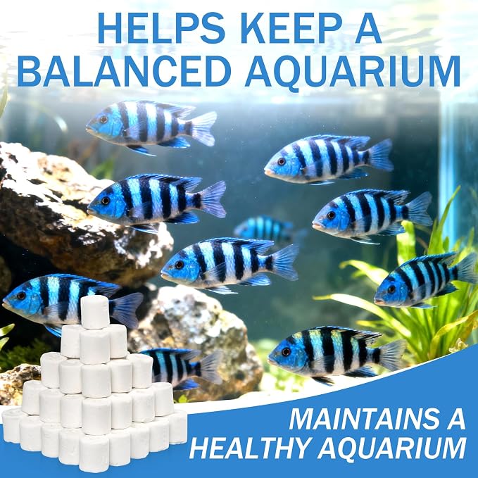 Sukh Ceramic Rings for Aquarium Filter - 15oz Bio Filter Media with 3 Bags | Highly Porous Water Cleaner for Pond & Canister Systems, Water Treatment, Essential Turtle & Fish Tank Accessories