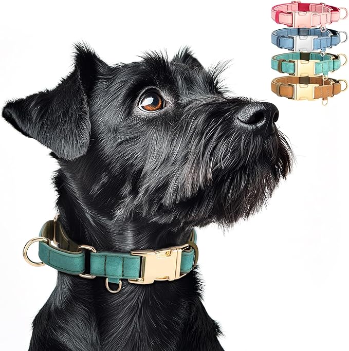 WHIPPY Vegan Leather Dog Collar No Slip Martingale Dog Collar with Quick Release Metal Buckle for Large Medium Small Dogs,Green