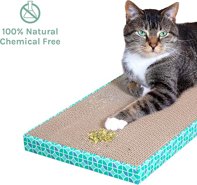 Kitty City Cat Premium Natural Catnip Collection, Catnip Bag 3-Pack