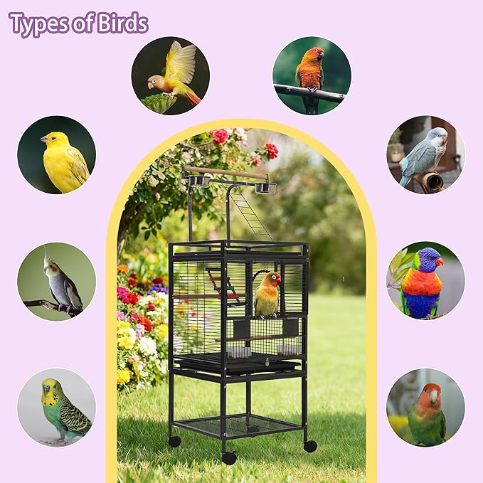 50.8'' Large Parakeet Cage,Small Bird Cage,Cockatiel Cage for Birds,Bird Flight Cages for Parakeets,Bird Travel Cage with Parrot Cage Cover,Toys,PlayTop Detach,Seed Catcher for Canary,Budgie