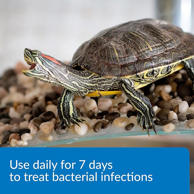 API TURTLE FIX Nonbacilli Turtle Remedy 4-Ounce Bottle