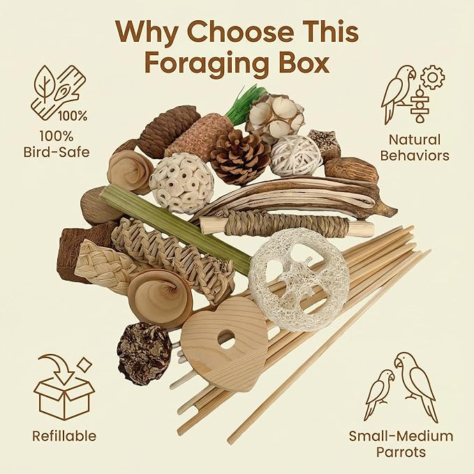 Wooden Foraging Box for Cage with 30PCS Natural Foraging & Chew Parrot Toy for Parakeets, Cockatiels, Conures & Lovebirds and Other Small to Medium Birds