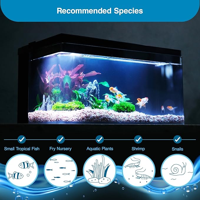 Harmony Deluxe 8 Gallon All-in-One Aquarium Kit, Award-Winning Fish Tank with Lid, Integrated Filtration, LED Light, Low-Iron Glass, Black Tank with Oak Grain Top