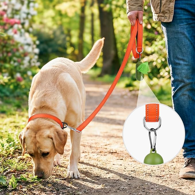 Joytale Dog Leash, 6 FT Double-Sided Reflective, Padded Handle Nylon Heavy Duty Leashes for Medium & Large Dogs Walking, Orange