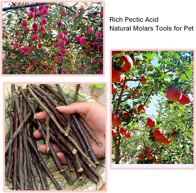 Organic Apple Sticks for Rabbits Wood Tree Branches Pet Snacks Chew Toys Branch for Guinea Pigs Chinchilla Squirrel Bunny Hamster Small Animals Teeth Grinding