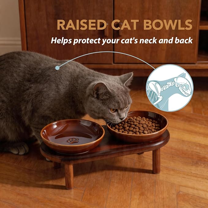 Havniva Elevated Cat Bowls Raised Ceramic Cat Bowl, 5.7” Wide Opening Cat Food Bowl Whisker Friendly Cat Dish Anti-Slip with Wood Stand, Shallow Pet Food & Water Bowl for Indoor Cats