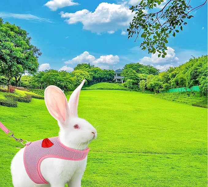 2 Pack Adjustable Bunny Rabbit Harness and Leash Set Breathable Mesh Vest Harness for Rabbits Kitten Ferret Puppy Small Pets Walking Supplies-Grey&Pink,M