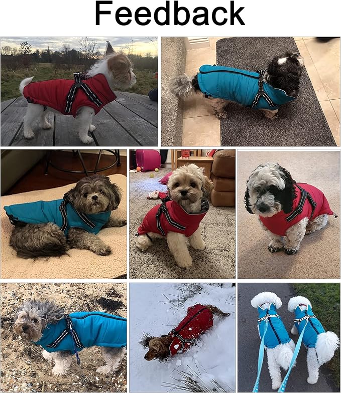 Geyecete Winter Warm Coat Waterproof Dog Winter Jacket with Harness Traction Belt,Pet Outdoor Jacket Dog Autumn and Winter Clothes for Medium, Small Dog-Navy-S