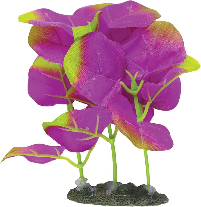 Marina Naturals Indigo Moneywort Foreground Silk Plant, PP116