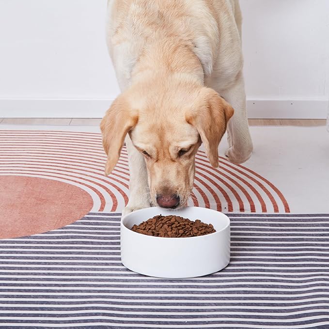 Ceramic Set of 2 Dog Bowls - Classic Dogs Food & Water Bowl for Small and Medium Breed, Heavy-Duty Non-Slip Dog Dishes, Food Grade Pet Bowl, Dishwasher & Microwave Safe (6'', 2*30OZ, White)