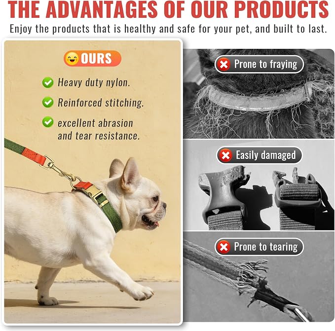 Nylon Dog Leash and Collar Set with Metal Quick Release Buckle, Adjustable, Durable High-Density Fabric, Breathable, Soft and Comfortable, No Pull for Walking and Training, Green, M (12.6"-19.6")