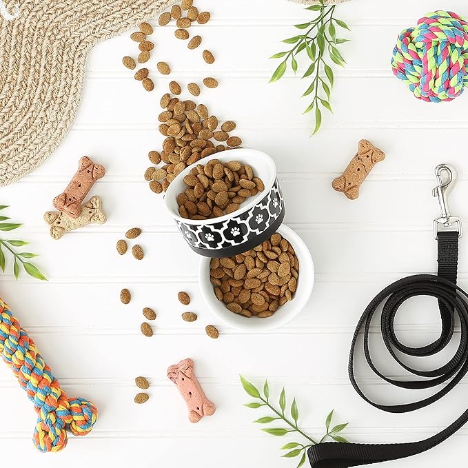 Bone Dry Lattice Collection Pet Bowl & Canister, Small Set, 4.25x2", Black, 2 Piece