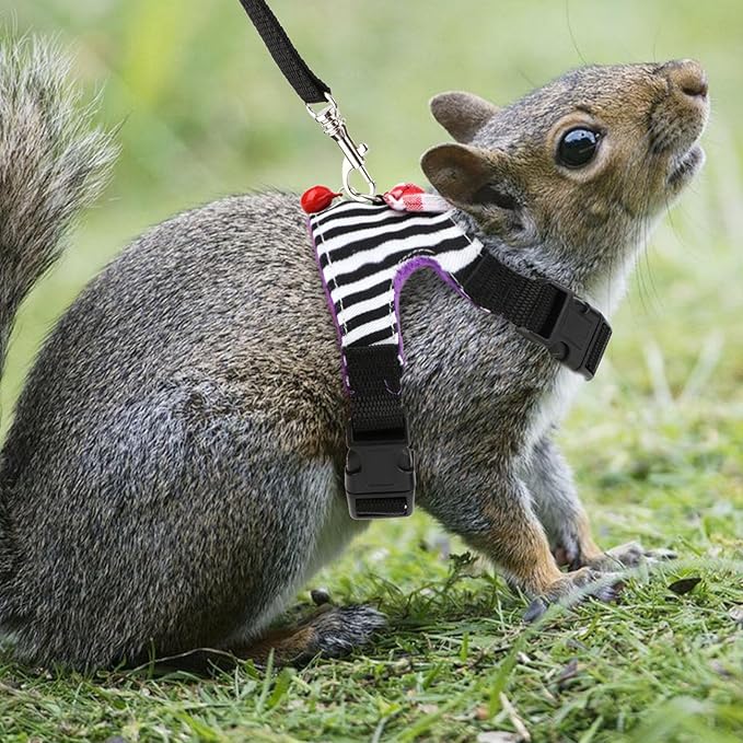 Small Pet Harness Vest and Leash Set with Bowknot and Bell Decor for Gerbil Guinea Pig Squirrel Kitten Outdoor Walking (M, Black Stripe)
