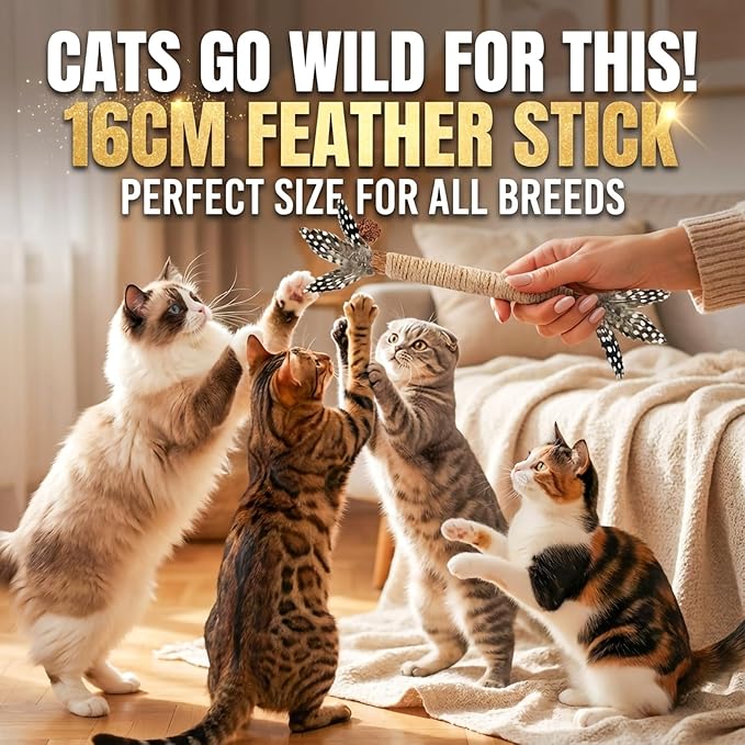 Cat Toys 12Pcs Catnip Toys for Indoor Kitten Cat Silvervine Chew Molar Scratch Cotton Rope Cleaning Teeth Dental Stick Treat Kitty Self Play Kick