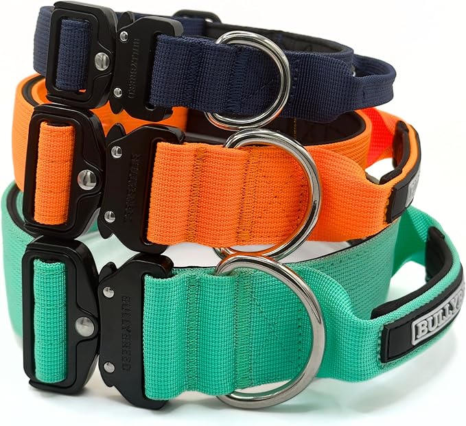 Heavy Duty Dog Collar, Tactical Dog Collar, Dog Collar for Large Dogs, Waterproof Dog Collar, Dog Training Collar, Quick-Release Metal Buckle, Adjustable Sizes – BULLYBREED (Aquamarine, Large)