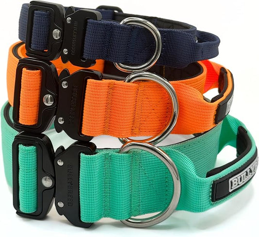 Heavy Duty Dog Collar, Tactical Dog Collar, Dog Collar for Large Dogs, Waterproof Dog Collar, Dog Training Collar, Quick-Release Metal Buckle, Adjustable Sizes – BULLYBREED (Aquamarine, Large)