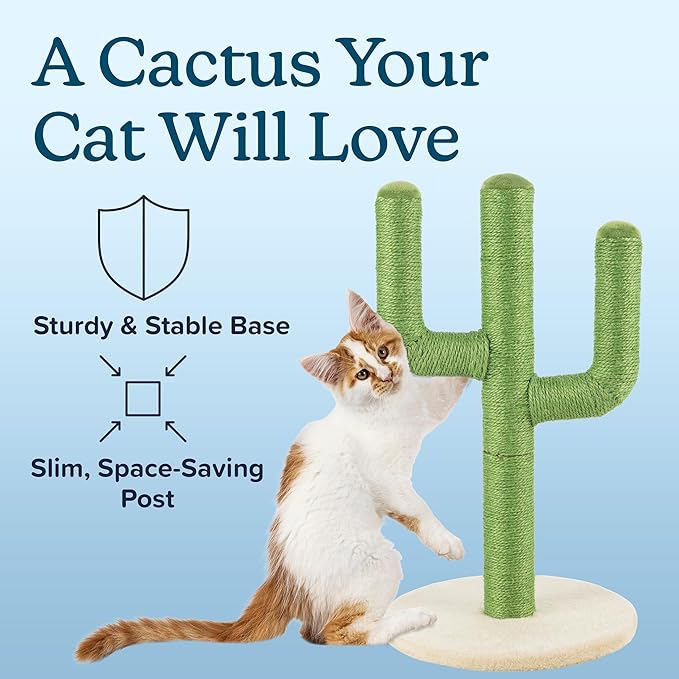 24” Tall Cat Scratching Post - Vertical Cactus Scratch Post for Indoor Cats - 360 Degree Jute Rope-Covered Kitten Scratcher with 3 Branches and Sturdy Base by PETMAKER (Green)
