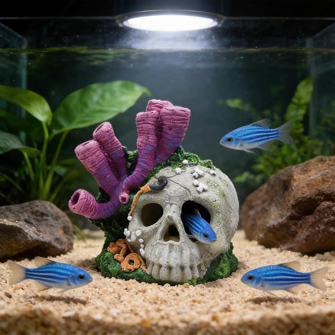 Skull Aquarium Hideout with Coral – Betta Fish Tank Decorations, Shrimp Cave & Small Fish Hideaway, Resin Underwater Skull Decor for Freshwater Aquarium