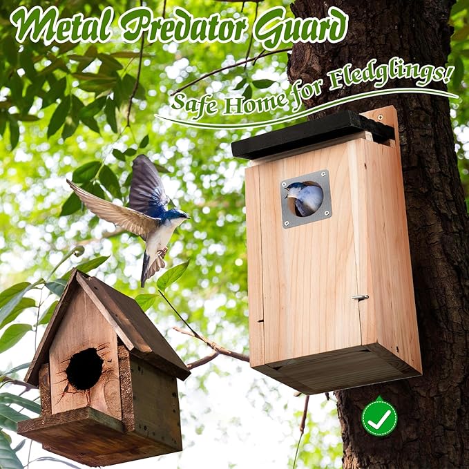 Dreyoo Cedar Bluebird Box Houses for Outside, 1-1/2'' Entrance Hole Wooden Bird Houses with Metal Guard, Secure Latch, Fledgling Grooves, Air Vents for Bluebird Wren Swallow(2 Pack)