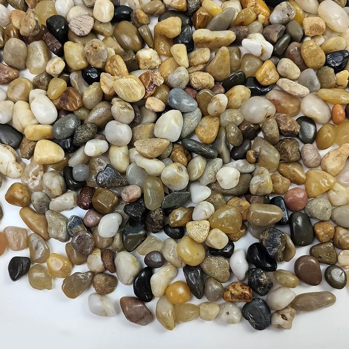 FANTIAN Pebbles for Plants, 2 lbs Pea Gravel for Fish Tank, 1/4 Inch | Polished Fish Tank Rocks, Decorative River Rocks for Succulent, Cactus, Aquarium, Vase, Outdoor Garden Landscaping