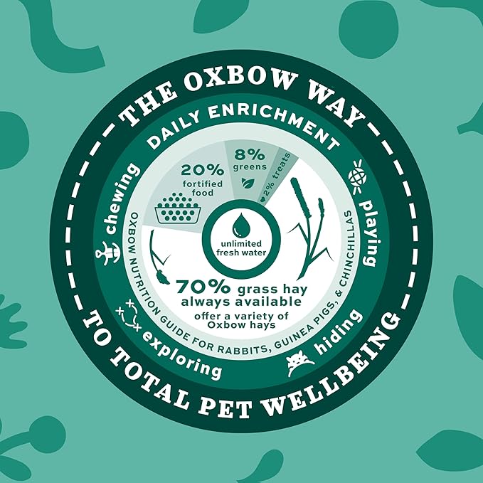 Oxbow Orchard Grass Hay, Rabbit & Guinea Pig Hay, High Fiber for Digestive Health, Grown in USA, Veterinarian Recommended Small Pet Supplies, Bulk Food for Rabbits, Guinea Pigs, & Chinchillas, 20 lbs