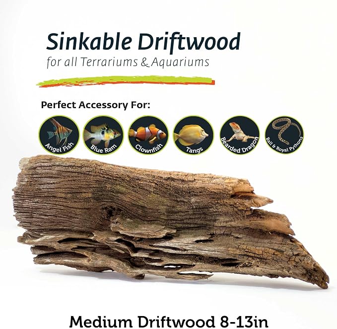 Galápagos (05285) Sinkable Driftwood Bed, Natural, Medium/11-13"