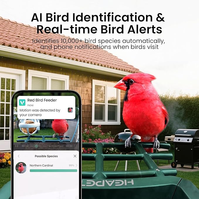 Smart Bird Feeder with Camera, 3K HD Live Stream, AI Species Identification, Solar Powered, Instant Motion Alerts, IP65 Weatherproof Outdoor Gifts for Bird Lovers, Green