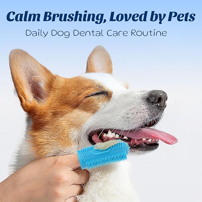Dog Toothpaste with Toothbrush Kit - Coconut Chicken Flavor Pet Dental Care, Plaque Tartar Remover, Fresh Breath, Easy Brushing No Resistance for Dogs Cats, 2.1oz