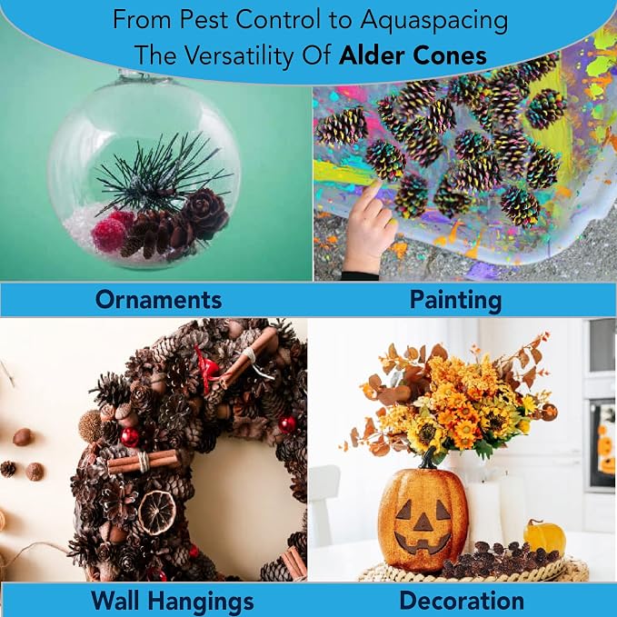 JOR Alder Cone Water Conditioner for Betta Fish, Creates Native Habitat, Relieves Stress, Serves As A Nursery and Food Source, Lowers Water pH, Can Be Used in Filter Or Freely in Aquarium, 60 pcs