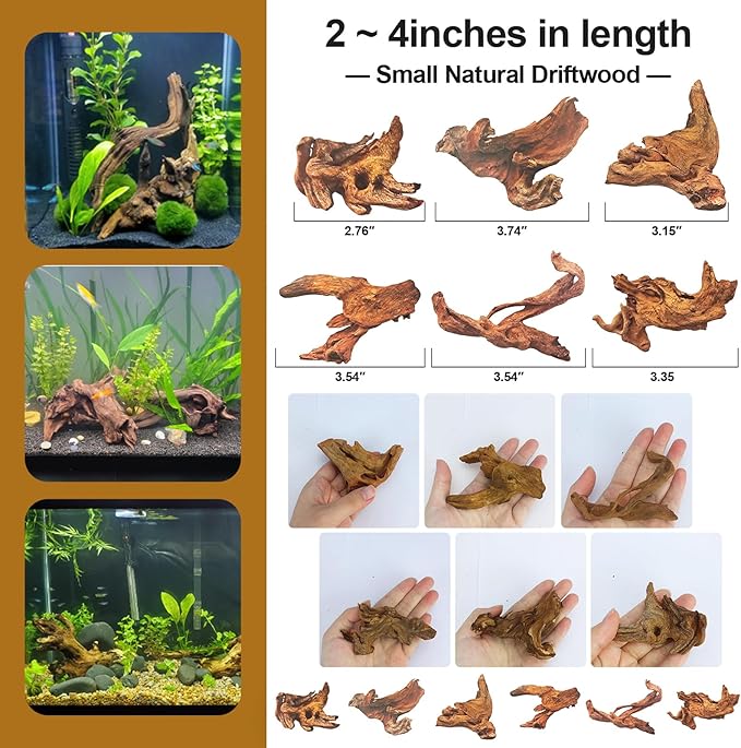 Natural Driftwood Decor for Aquarium Decorations Reptile Tank Accessories, Assorted Wood Branches Decorations on Reptile Fish Tank 2-10" 2 Pcs/4 Pcs/ 5 Pcs/ 6 Pcs (Pack of 6 (2 to 4 Inch))