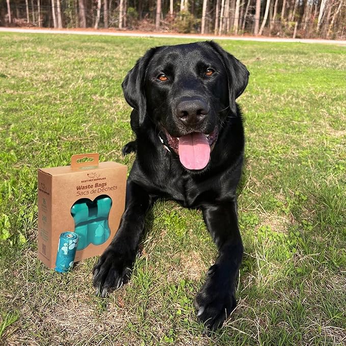 Best Pet Supplies Dog Poop Bags for Waste Refuse Cleanup, Doggy Roll Replacements for Outdoor Puppy Walking and Travel, Leak Proof and Tear Resistant, Thick Plastic - Turquoise, 240 Bags