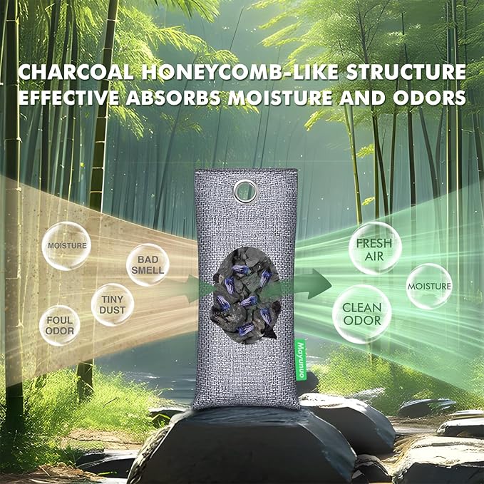 Activated Charcoal Odor Absorber, Natural Shoe Deodorizer Insert, Sneaker Odor Eliminator and Moisture Absorbers. 2 Pack Bamboo Charcoal Air Purifying Bags Shoe Smell Remover