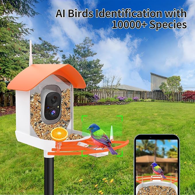 Bird Feeder with Camera,Smart Bird Feeder Camera with Solar Powered,AI Identify Species,Birds Watching,Auto Record FHD 2K Feathered Visitor Video in Backyard,Ideal Gifts for Birds Lovers