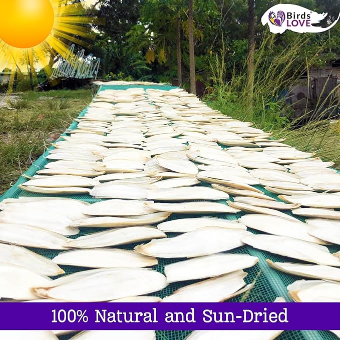 Birds LOVE 3.5-4″ Cuttlebone for Birds – 100% Natural Sun-Dried Calcium & Beak Conditioning Supplement for Parakeets, Budgies, Cockatiels, Finches & Canaries – 2 Pack with Holder – Made in Vietnam