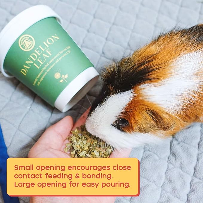 GuineaDad Organic Guinea Pig Herbal Treats - Guinea Pig Food with Convenient Packaging Dandelion Leaf Flavor 10 fl. oz - Guinea Pig Treats Help with Bonding High in Nutrition, Good for Digestion Small