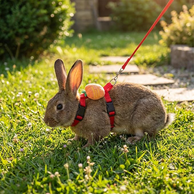 Adjustable Bunny Rabbit Harness and Leash Set, Cute Vest Harness for Small Pets, Guinea Pig, Ferret, Kitten, Puppy, Bunny Accessories for Rabbits