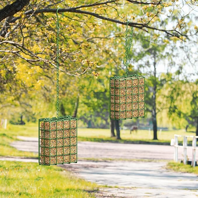 FLINTER Bird Feeder for Outdoors, Suet Feeder Hanging Bird Feeder, Hanging for Garden Yard Outside - Single Suet Cake Feeders fo Attracting Birds, Green