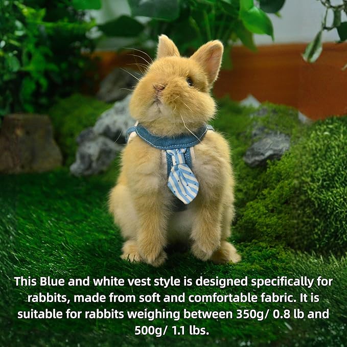 SMOLKITH Rabbit Clothes - Bunny Adjustable Blue and White Vest with Leash, Small Animal Apparel for Walking - Fits Guinea Pigs, Chinchillas, Meerkats, Prairie Dogs, Pet Rats and More