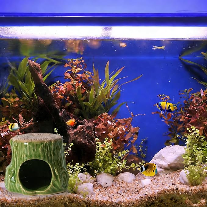 Ceramic Aquarium Decor Natural Tree Green Betta Fish Tank Cave | Smooth-Surface Safe for Fish Hiding & Breeding, Easy-Clean, No Assembly, for Play & Rest,Fits 2.5-5 Gallon Fish Tanks
