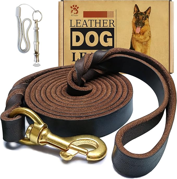 Leather Dog Leash, 5ft x 3/4 inch, Heavy Duty Genuine Leather Braided Dog Training Leash, Comfortable for Large, Medium, Small Dogs (Brown, 5FT*3/4in)
