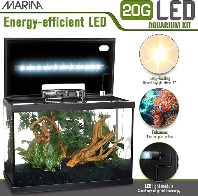 Marina 20 Gallon LED Aquarium Kit with Filter, Lighting & Accessories | Complete Fish Tank Setup