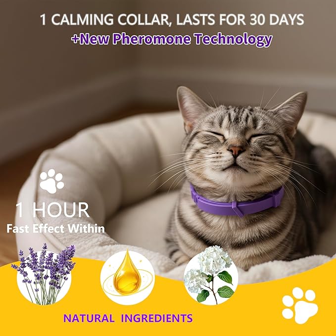 Calming Collar for Cats，Pheromone Cat Calming Collar Cat Anxiety Relief & Stress，Natural Ingredients Pheromones Rapid Effect Adjustable Waterproof