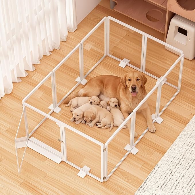 25.6”H Clear Dog Playpen Indoor, Thick Plastic Puppy Pet playpen with Lock Door, Foldable Transparent Dog Fence Enclosure for Small Medium Cat Rabbit Whelping, 10 Panel