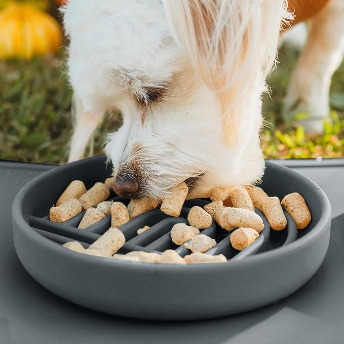 Should We Go? Slow Feeder for Dogs & Cats, The Slowdown Bowl Silicone Slow Eating Mealtime Solution with Modern Lick Mat Design, Reduces Gulping, Fits 1 Cup, 6” Across x 1.25” Tall, Small-Charcoal