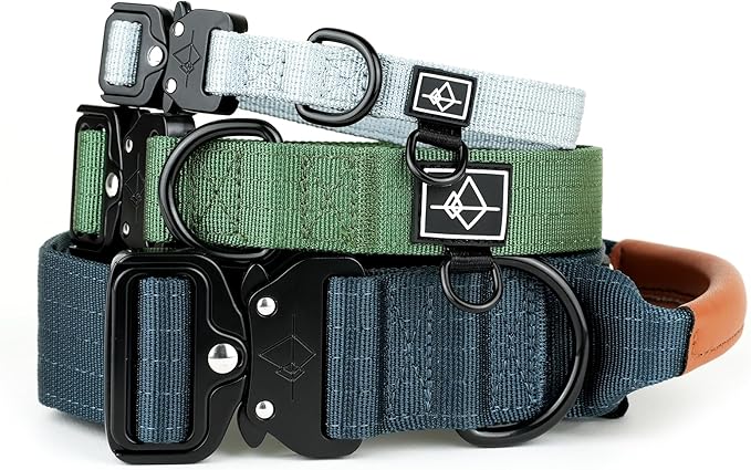 Made to ROAM Premium Dog Collar - Adjustable Heavy Duty Nylon Collar with Quick-Release Metal Buckle (Utah Glow, Classic Size 1)