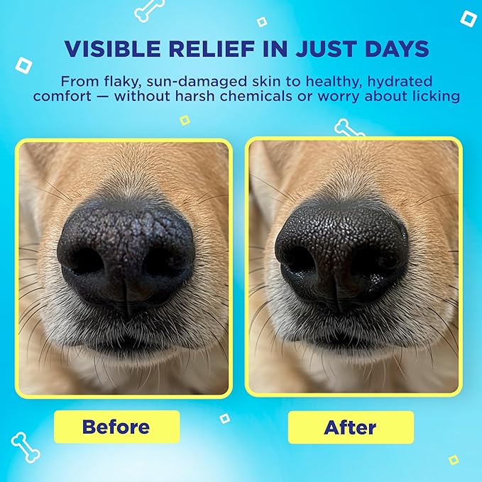 Handy Hound SnoutScreen Dog Nose Balm and Paw Balm, Moisturizing Formula for Dry or Cracked Noses, Vet Recommended, Made in USA, Protects Against UVB and UVC Rays, 1 oz