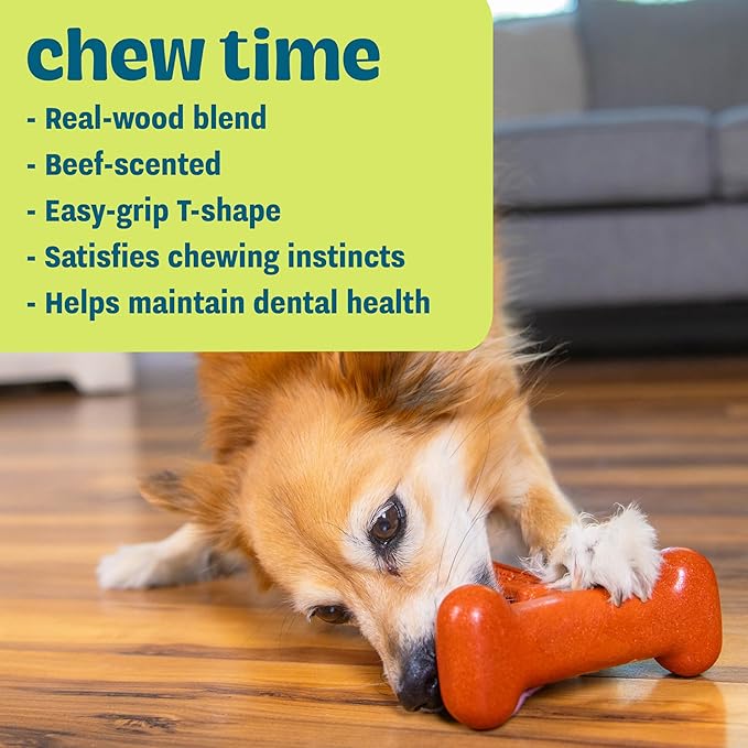 Outward Hound Dogwood Hold & Chew Durable Dog Chew Toy, Beef Scent, Large