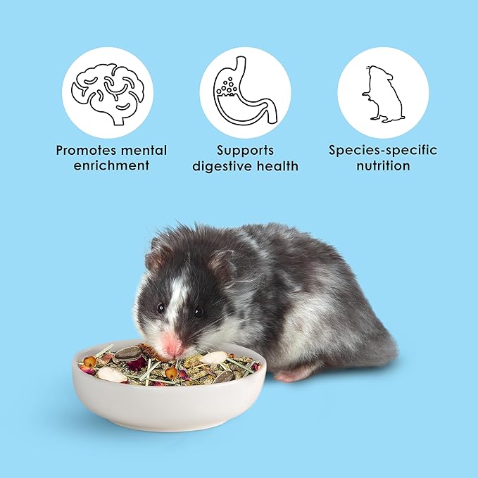 Kaytee Food from The Wild Natural Pet Hamster Food, 2 Pound