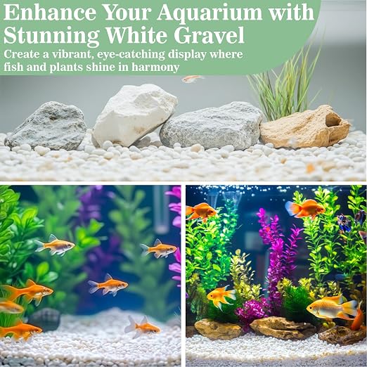 Sukh White Pebbles for Cactus - 420G Polished River Stones | 1/5 Inch Cactus Gravel Pebbles, Natural Decorative Small River Rocks for Gardening, Vases, Landscaping and Fish Tanks